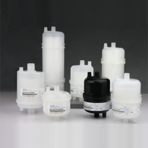 Multiple Capacity Capsule
